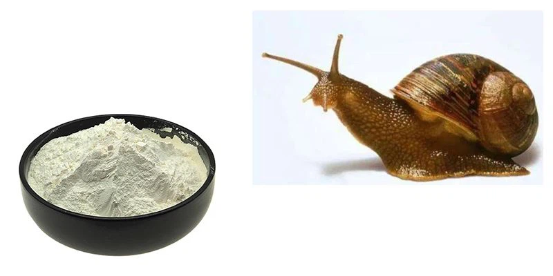 Snail Slime Extract Powder1
